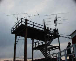 ox2k6m.jpg (55003 byte)