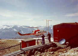 ox3lx.jpg (29481 byte)