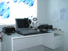 ox3lxqaq4.jpg (80599 byte)