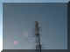 ox3sixtas4.jpg (11883 byte)