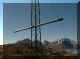 ox3sixtas9.jpg (23799 byte)